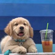 泽富富的个人资料头像