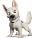 刘柏源赟的个人资料头像