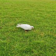 zlxxwl的个人资料头像