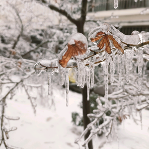 美滋滋头像