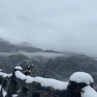 不吃豆芽的我头像