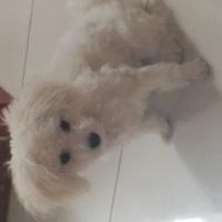 原来是你一夜之秋头像