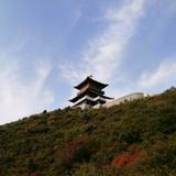 郭郭头像