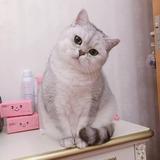 用户402112956255头像