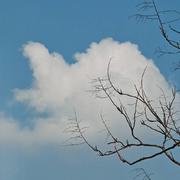 用户509533526991的个人资料头像