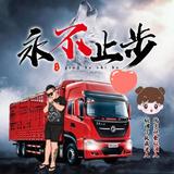 美丽之约355头像
