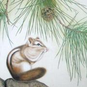 松鼠哥哥的个人资料头像