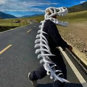 一杯雾688的个人资料头像