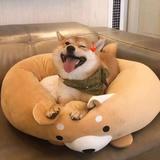 不勇敢替你坚强头像