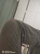 猫九命狸小溅头像