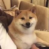 林彦显头像