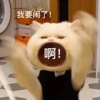 uni污师头像
