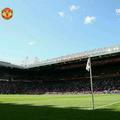 RedDevilsl头像