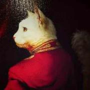 hanch1的个人资料头像