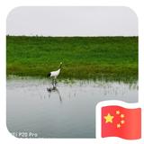 蒜头5049头像