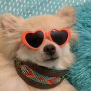 heartandsoul的个人资料头像