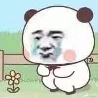 你我山巅自相逢6606头像