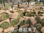 用户3533453393040的个人资料头像