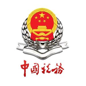 辽宁税务头像
