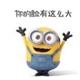 槿未不知头像
