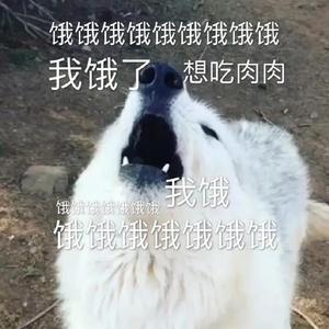 记得给我留袋水饺头像