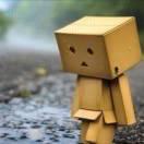 无知的坚果的个人资料头像