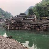 中文7293头像