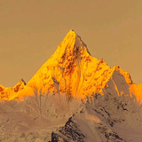 车机喊我雷哥头像