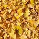 Aelous45764的个人资料头像