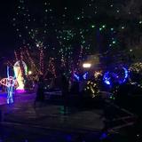 幸运星45430头像