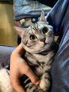 她像风一样自由的个人资料头像