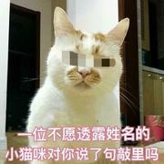 larvel的个人资料头像