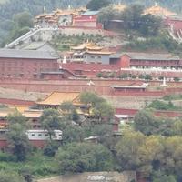 智勇双全奶酪r0h头像