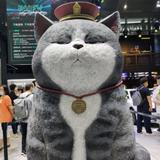 葫芦娃大战屎壳郎头像