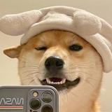 Terryjenkins头像