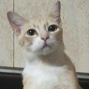 Allen616的个人资料头像