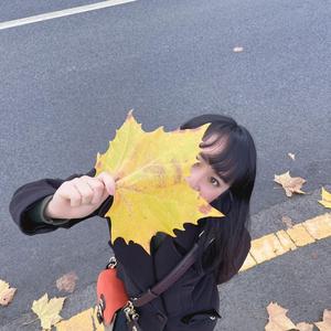 成成看房9i9L头像