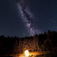 赵靠谱先生头像