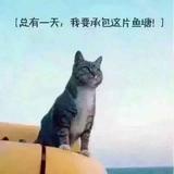 流沙8767头像