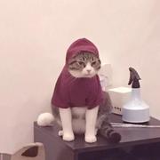 FLiang的个人资料头像