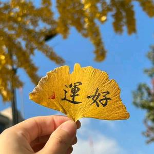 事业小编头像