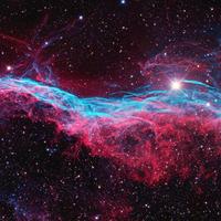 疯子穷开心头像