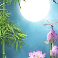 风飘絮头像