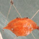 青春烈酒孤独我有头像