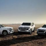 爱生活的鲸鱼QzY头像