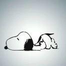 神经漫谈的个人资料头像