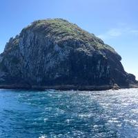 独有英雄驱虎豹呀头像