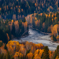 0飘渺晨风0头像