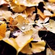 用户65480352570的个人资料头像