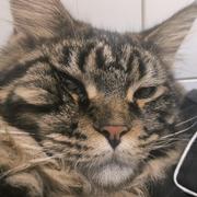 马文潇的个人资料头像